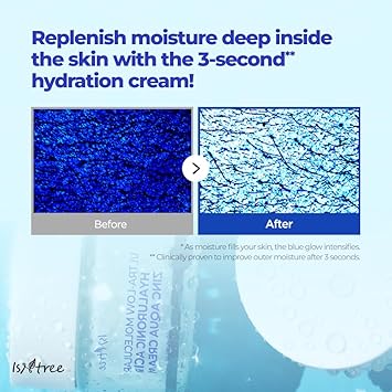 ISNTREE Ultra-Low Molecular Hyaluronic Acid & Zinc Aqua Cream