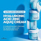 ISNTREE Ultra-Low Molecular Hyaluronic Acid &amp; Zinc Aqua Cream